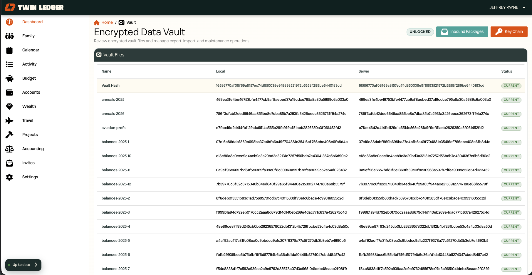 Twin Ledger privacy